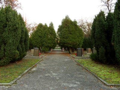 Park Poniatowskiego w Łodzi 14