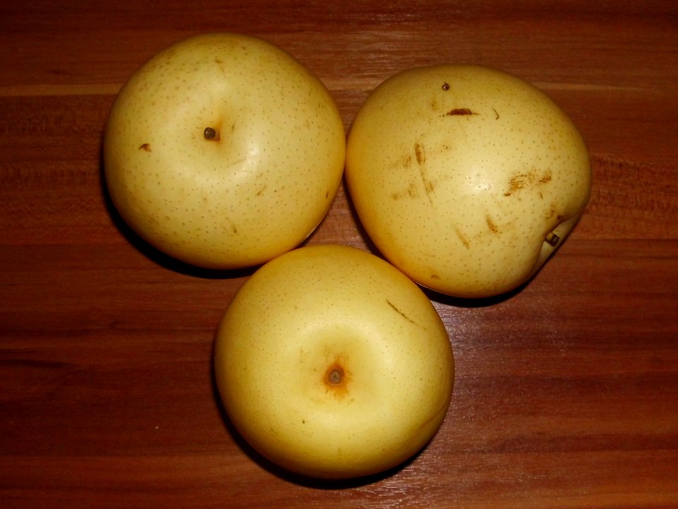 Pyrus pyrifolia fruit (03)