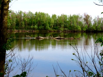 Pukhivka Desna6