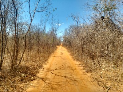 Parque Nacional da Furna Feia, Baraúna (RN)