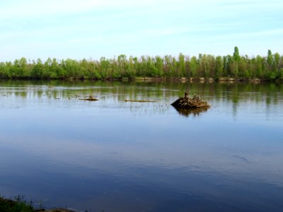 Pukhivka Desna7