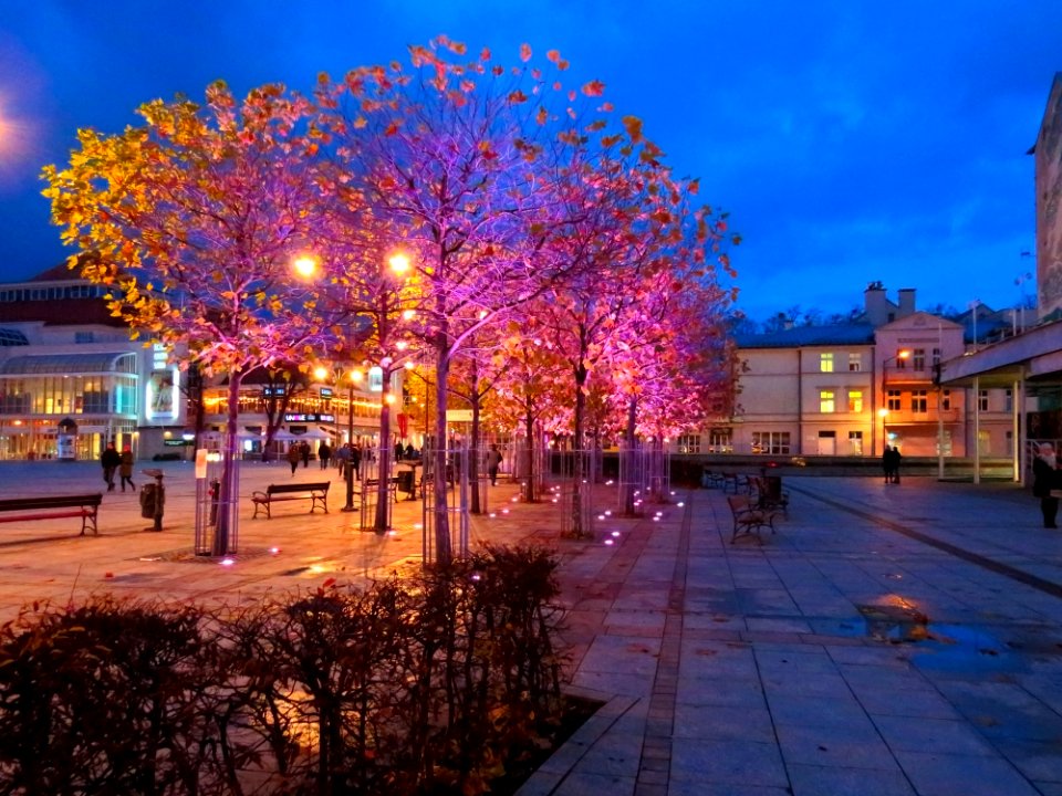 Przyjaciół Sopotu Square