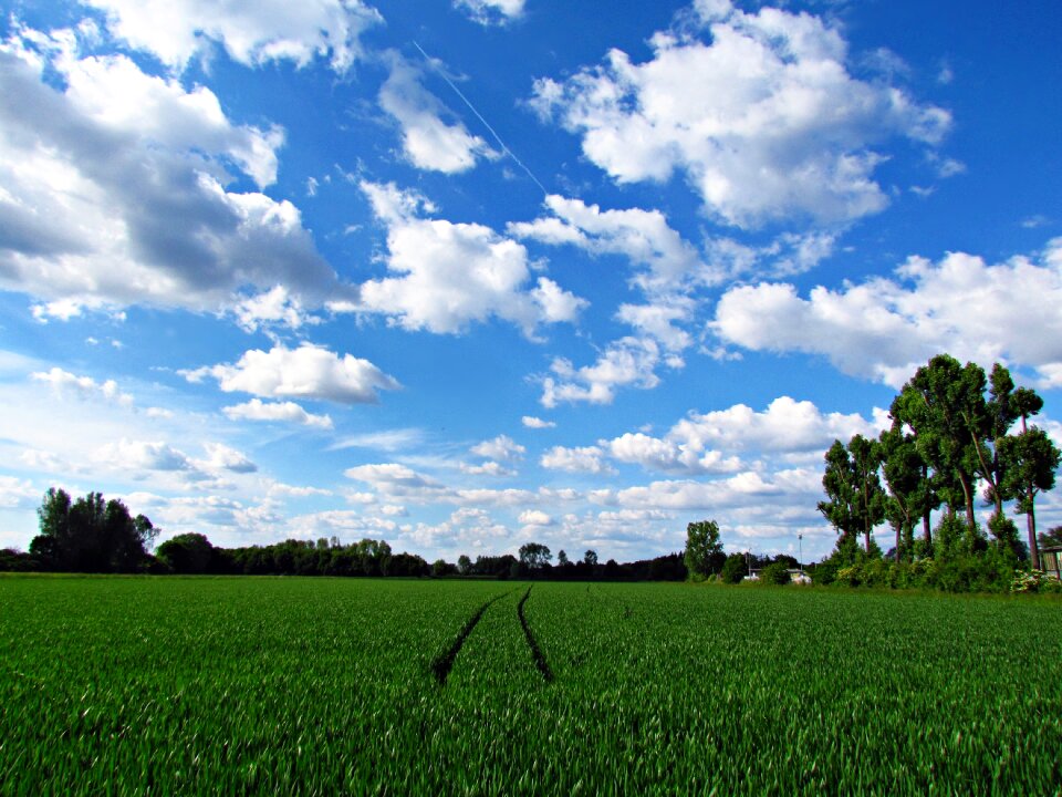 Nature landscape blue sky