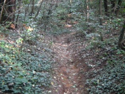 Radebeul-Kötzschenbroda-Oberort Schluchtenweg