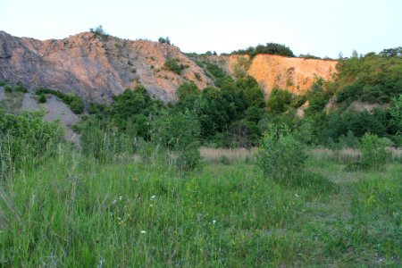 Růženin lom 8342