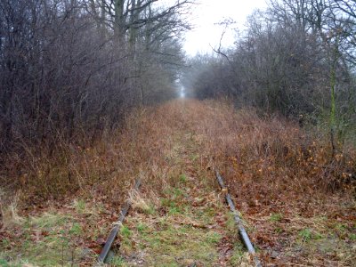 Railroad 294 around Pomorzowice 2012