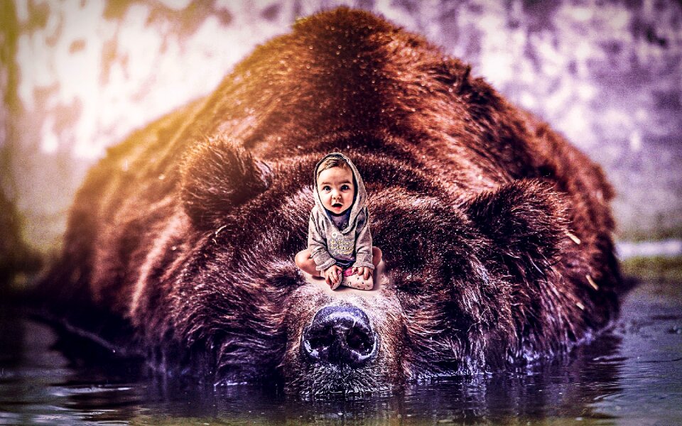 Baby and the bear photoshop manipulation color grading