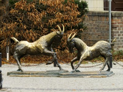 Pomnik koziołków Poznań 03
