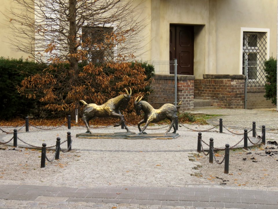Pomnik koziołków Poznań 02