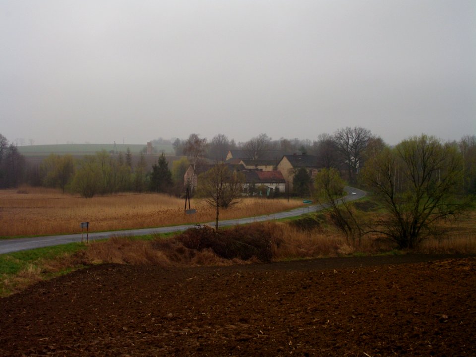 Pomorzowiczki panorama