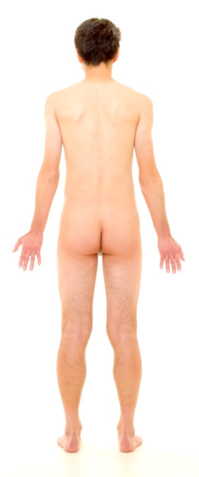 Posterior view of human male, retouched, cropped