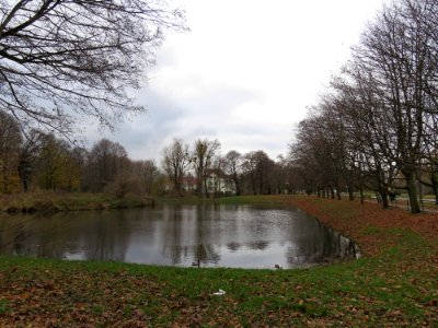 Potok Oliwski pond1