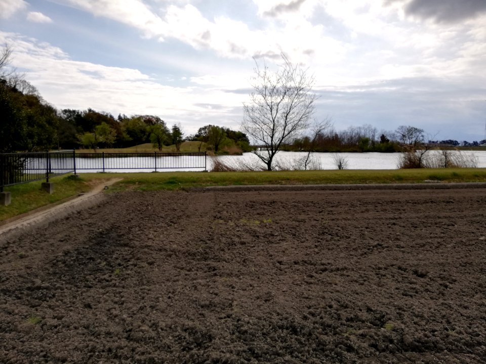 Pond Sone 20210412 03
