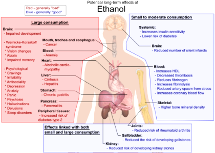 Possible long-term effects of ethanol