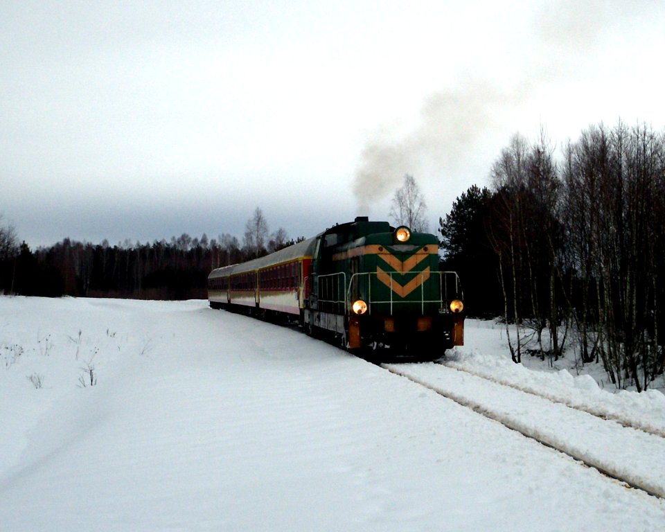 Polowce train