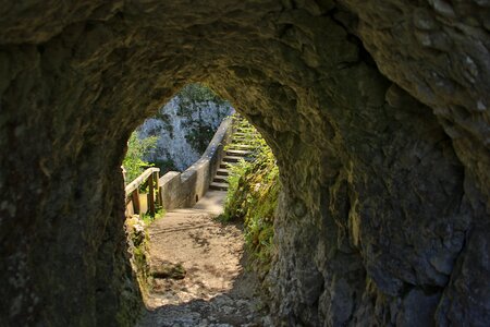 Nature bridge danube valley