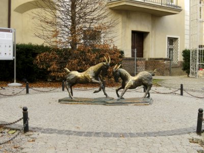 Pomnik koziołków Poznań 01