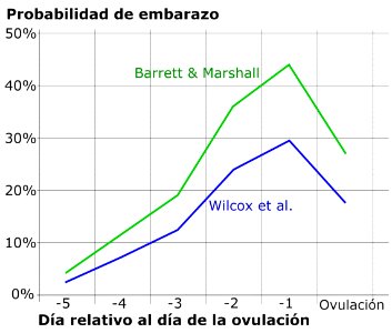 Pregnancy chance by day near ovulation spanish