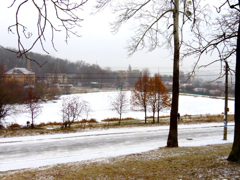 Pond in Kobzarska st