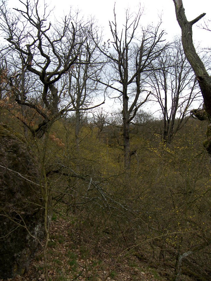 PR Břenčák 3711