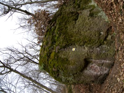 PR Břenčák 3652