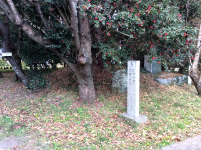 Takehutsu shrine (Tomb), Ichiba-cho, Tokushima