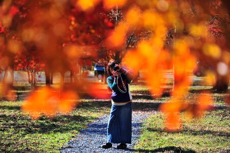 Autumnal leaves photographer autumn