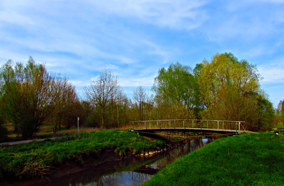 The brook landscape bird