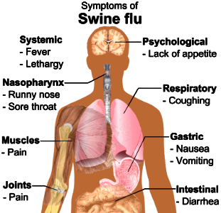 Symptoms of swine flu photo