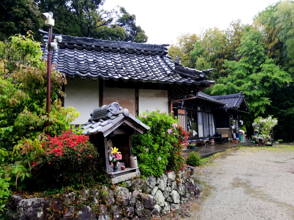 Syōrinzan Seiken-ji Temple 20210417 02
