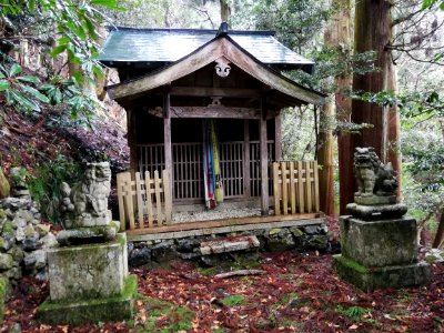Tani Shrine 20210305 03
