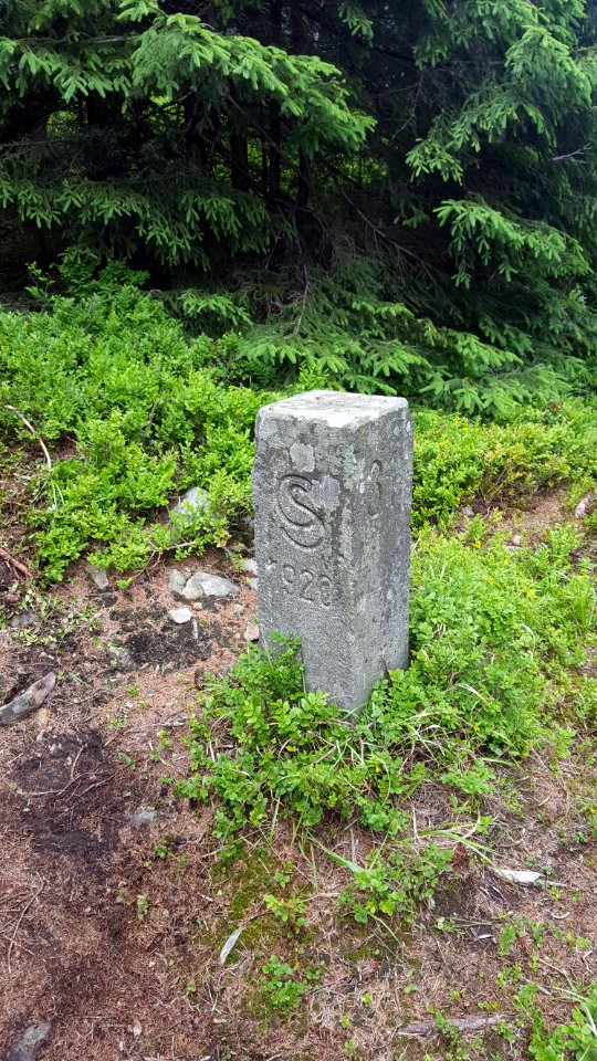 Synevyr border stone 3