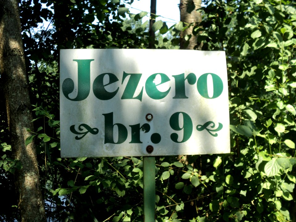 Tabla jezero broj 9