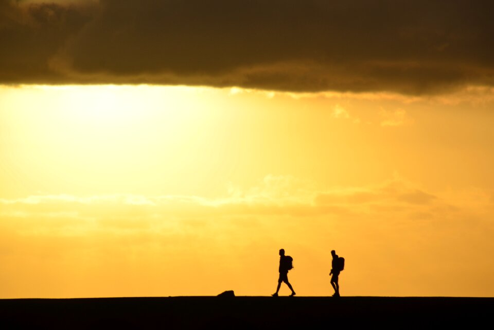 Silhouette sun sky