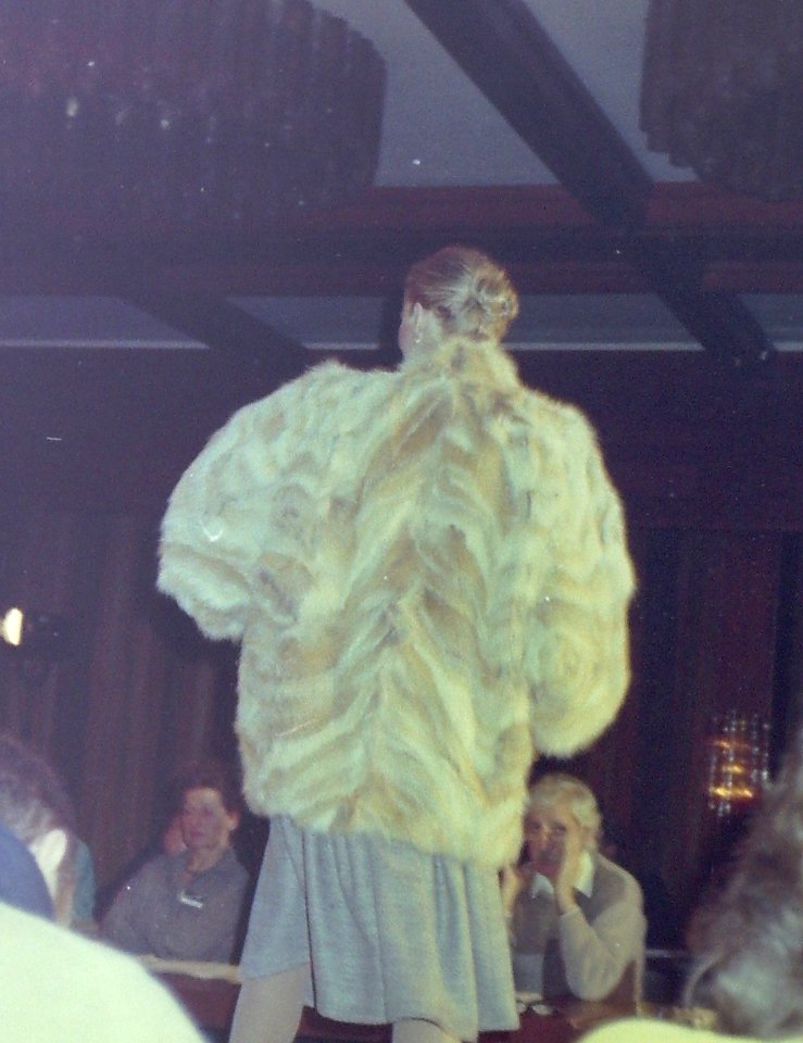 Tagung der Vereinigung Initiative Pelzgestaltung VIP in Braunlage, 1985 (084)