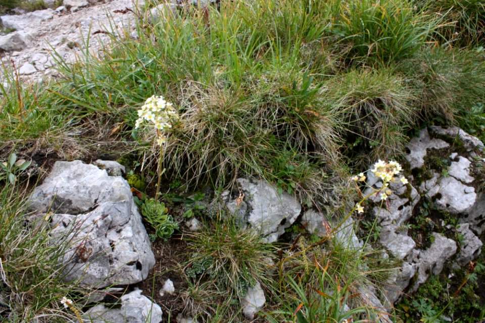 Tatry, vrcholovka nad Kasprowym wierchom ke Swinica