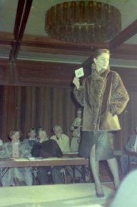Tagung der Vereinigung Initiative Pelzgestaltung VIP in Braunlage, 1985 (064)