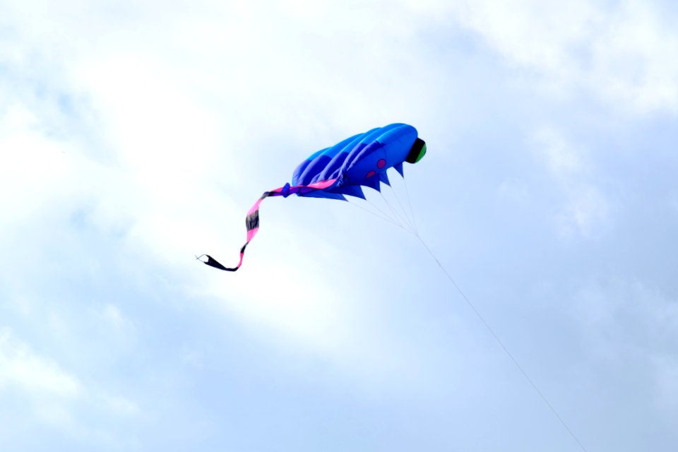 Stingray Kite Flying over Railway Sculpture Park, Kaohsiung 20151129