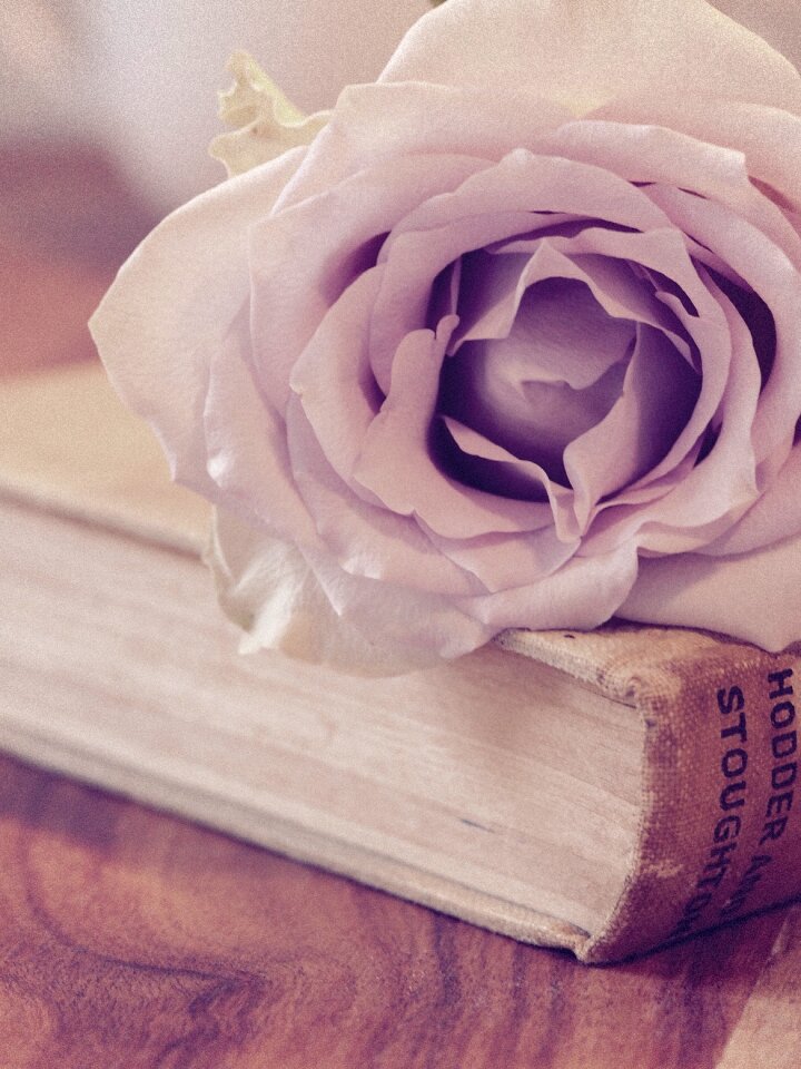 Floral flower vintage