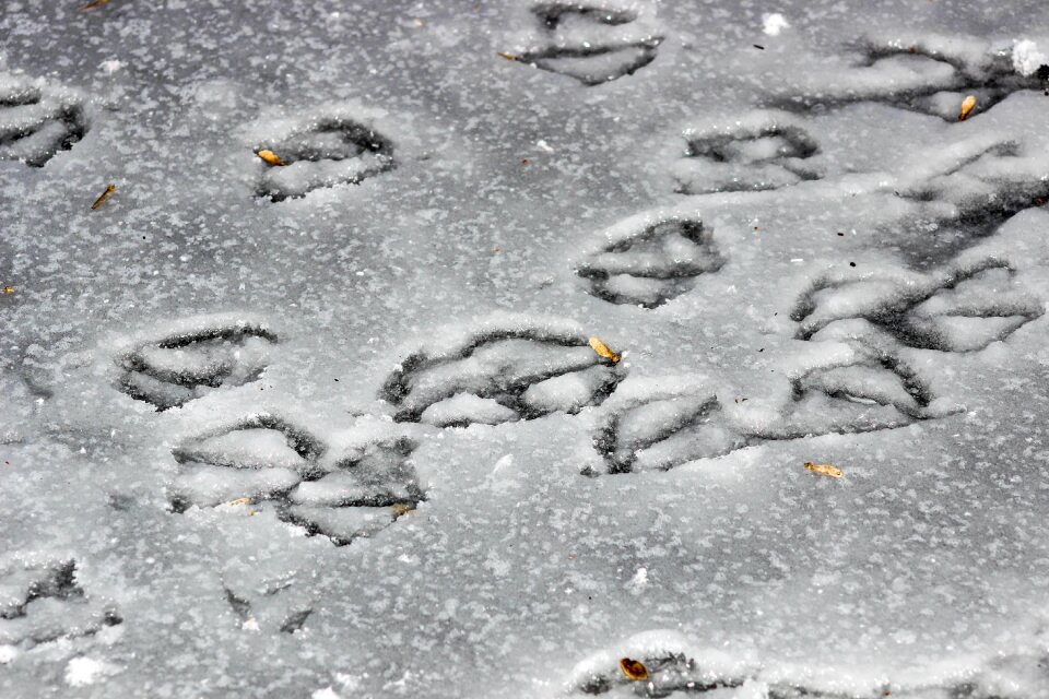 Cold ice frost