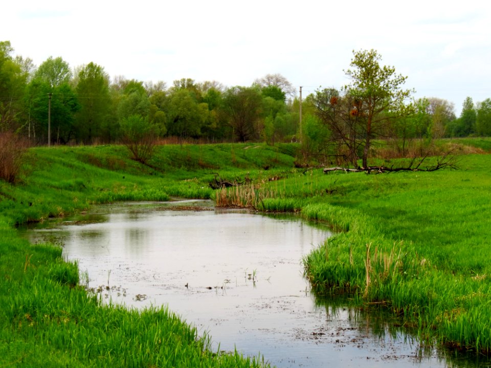 Stara Richka lake Muromets4