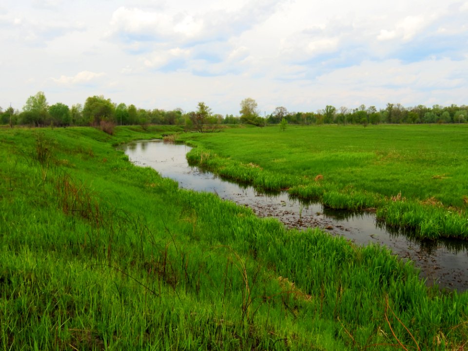 Stara Richka lake Muromets2
