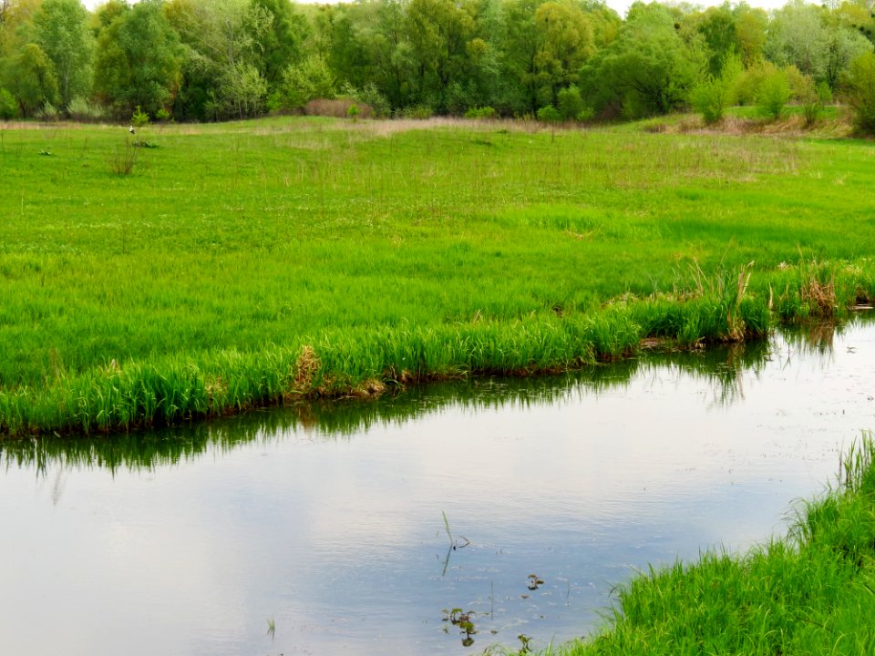 Stara Richka lake Muromets1