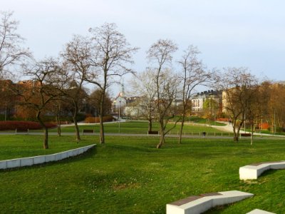 Stare koryto Warty Poznań 01