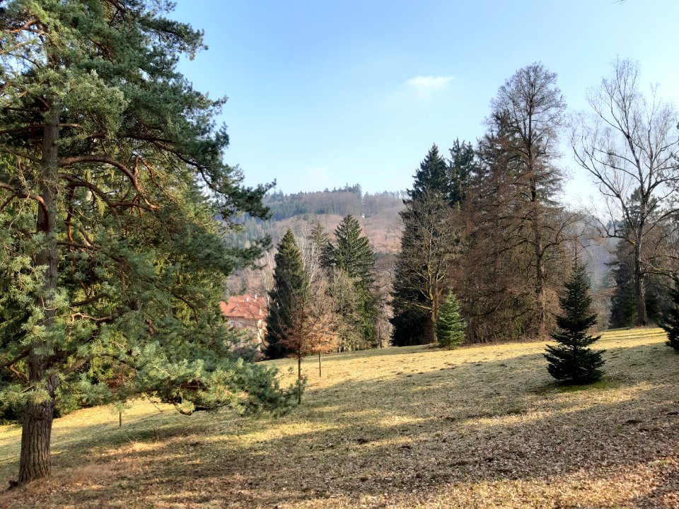Staré Luhačovice 20210325 143635