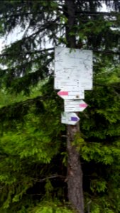 Synevyr National Park road sign