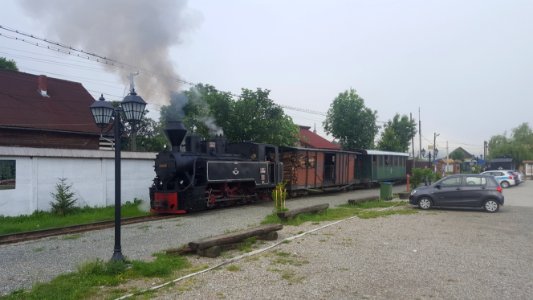 Steam train Viseu de Sus