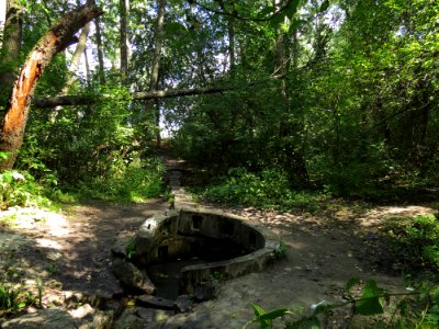 Svyatoshyn ponds spring 01