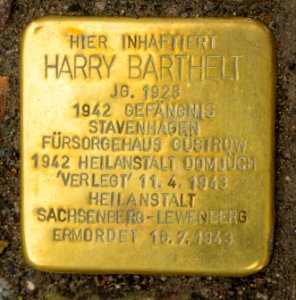 Stavenhagen Stolperstein Harry Barthelt 01