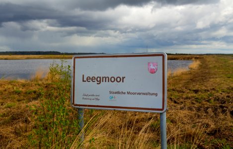 Surwold NSG Leegmoor 01